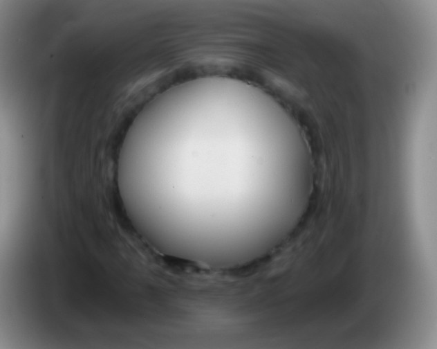 X0000083991061200703091840