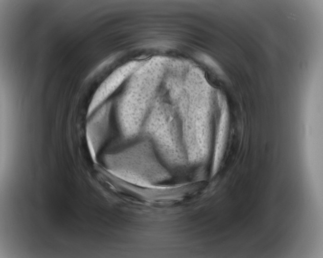 X0000083991064200703091840