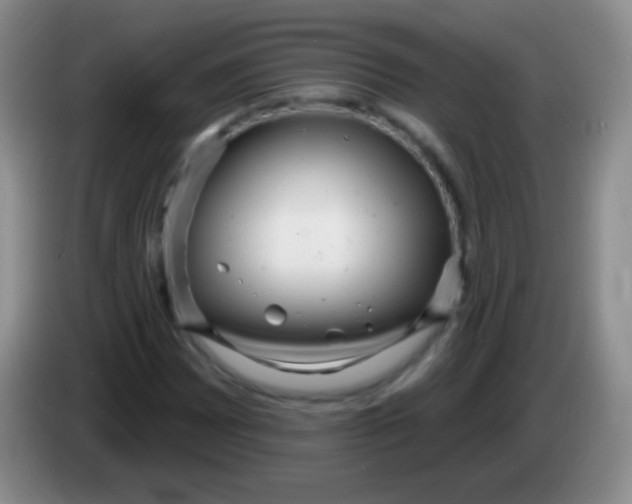 X0000083991065200703091840