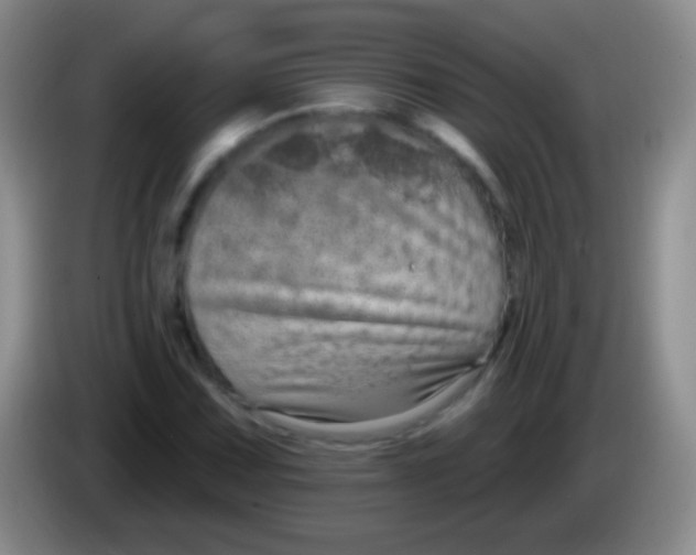 X0000083991067200703091840