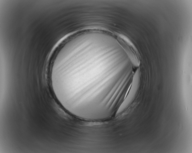 X0000083991068200703091840