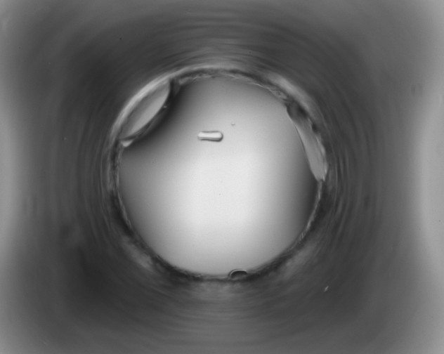 X0000083991069200703091840