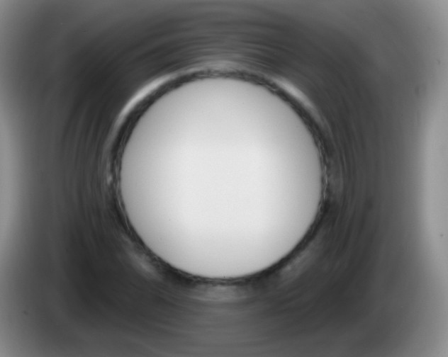 X0000083991070200703091840