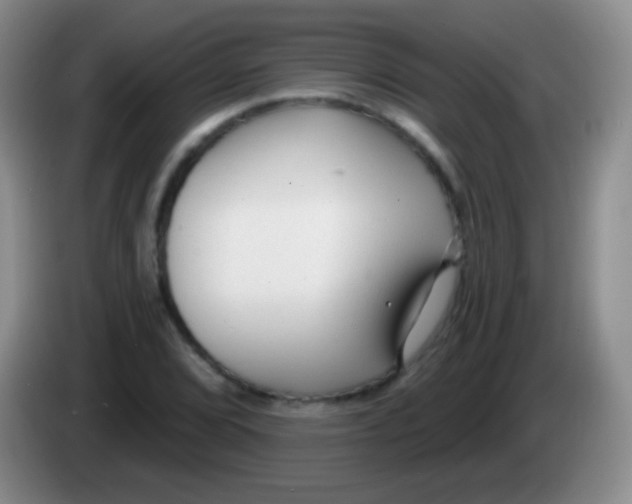 X0000083991072200703091840