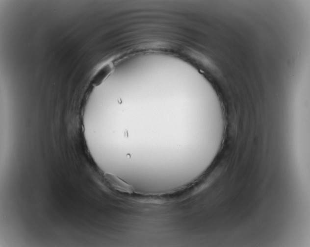 X0000083991073200703091840