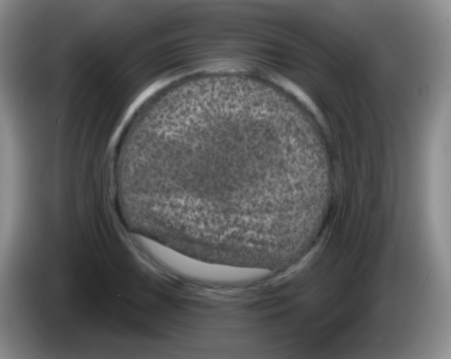 X0000083991075200703091840