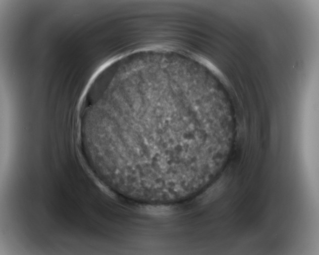 X0000083991079200703091840