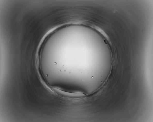 X0000083991080200703091840