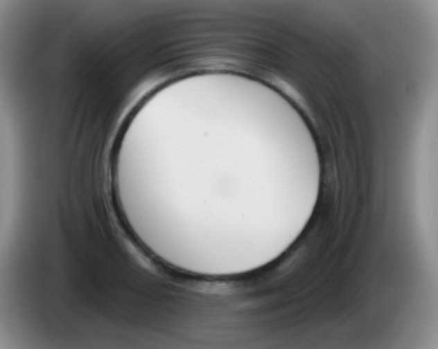 X0000083991082200703091840