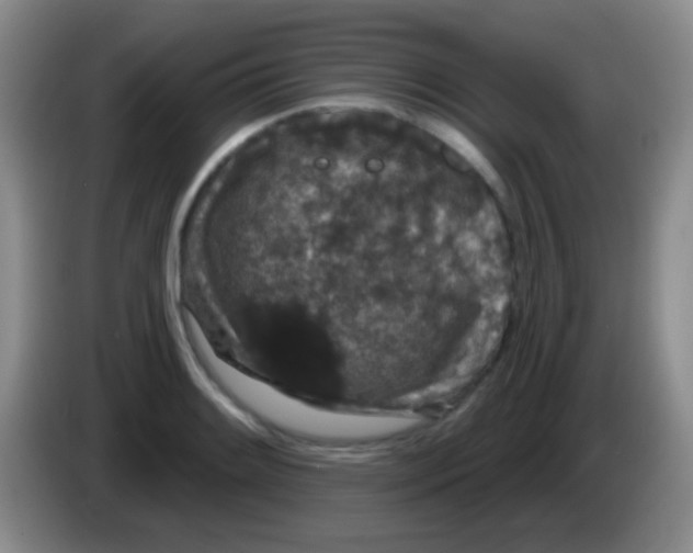 X0000083991084200703091840