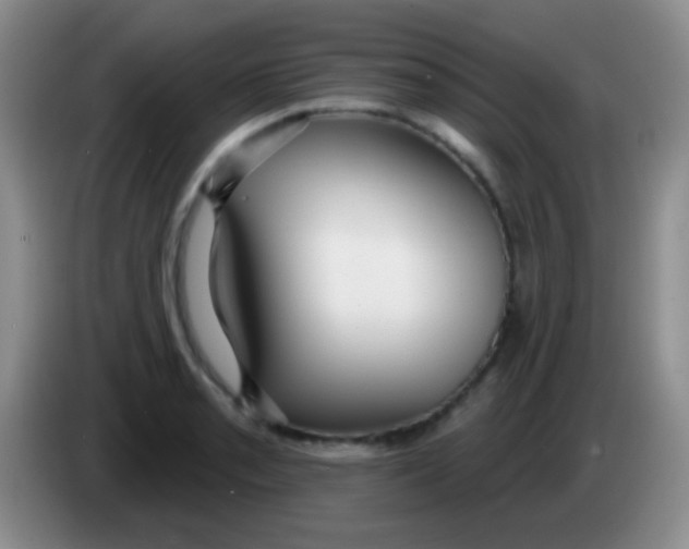 X0000083991085200703091840