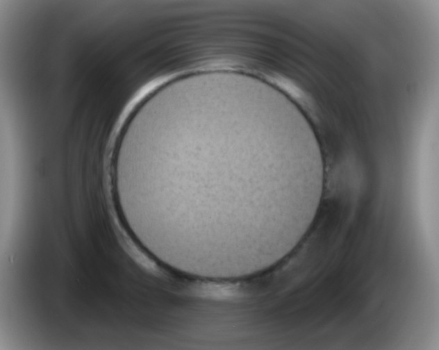 X0000083991086200703091840