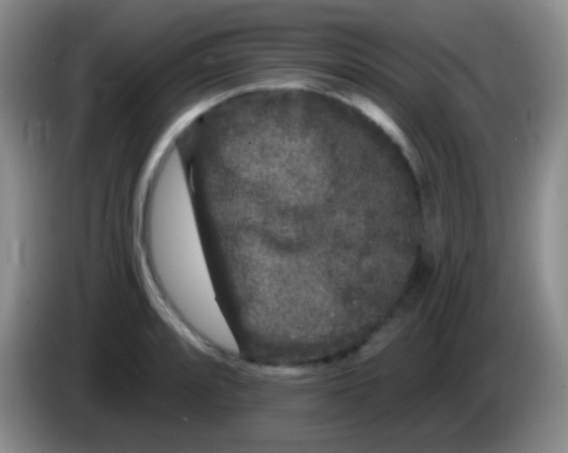 X0000083991088200703091840