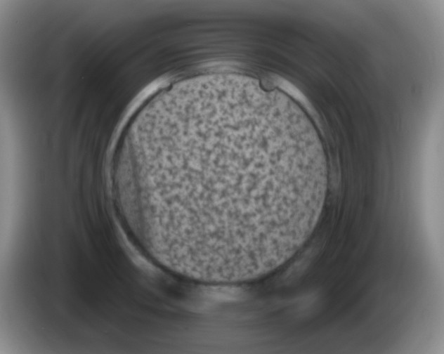 X0000083991090200703091840