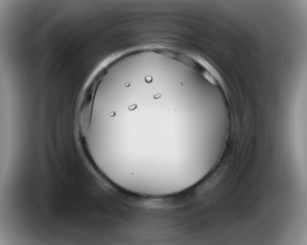 X0000083991093200703091840