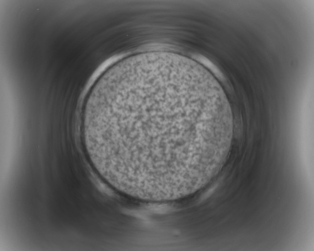 X0000083991094200703091840