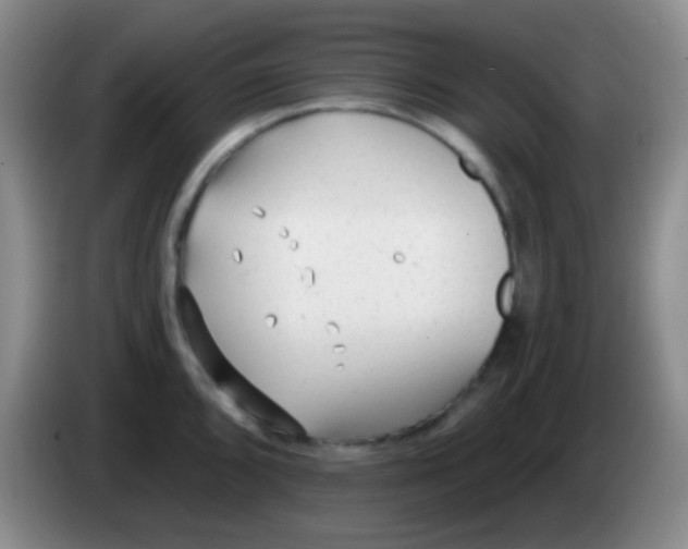 X0000083991096200703091840