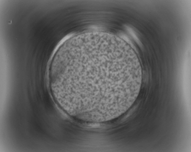 X0000083991098200703091840