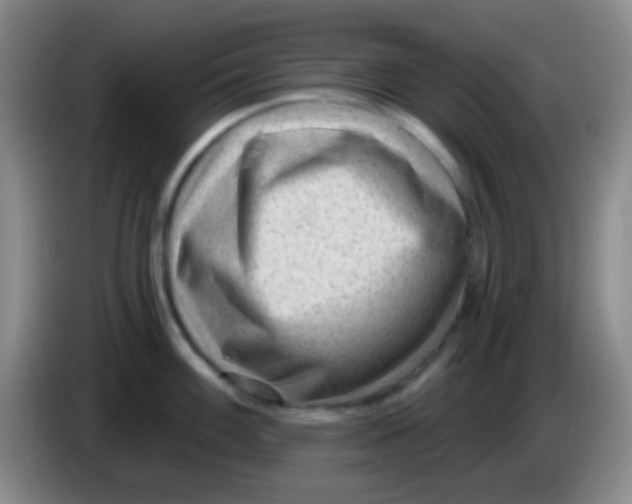 X0000083991100200703091840