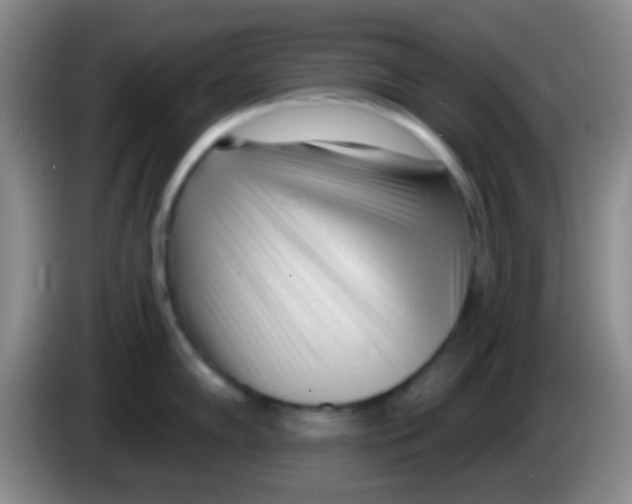 X0000083991102200703091840