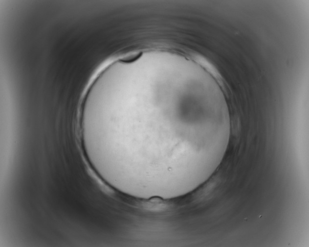 X0000083991103200703091840