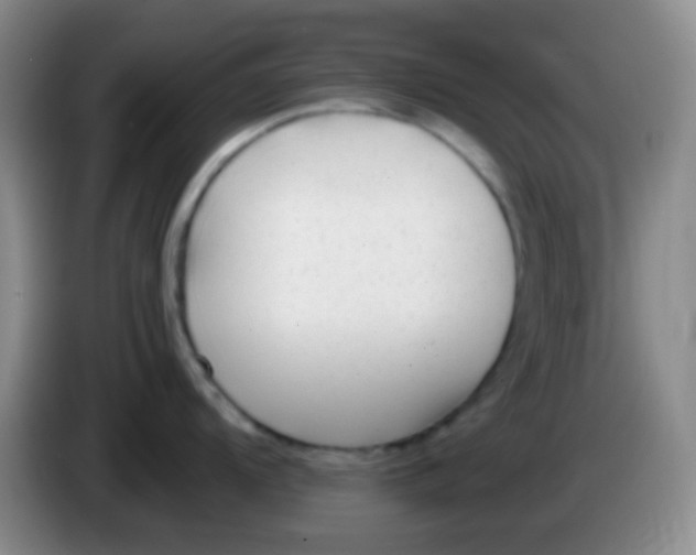 X0000083991104200703091840