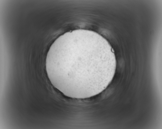 X0000083991105200703091839