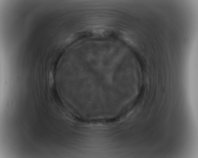 X0000083991106200703091839