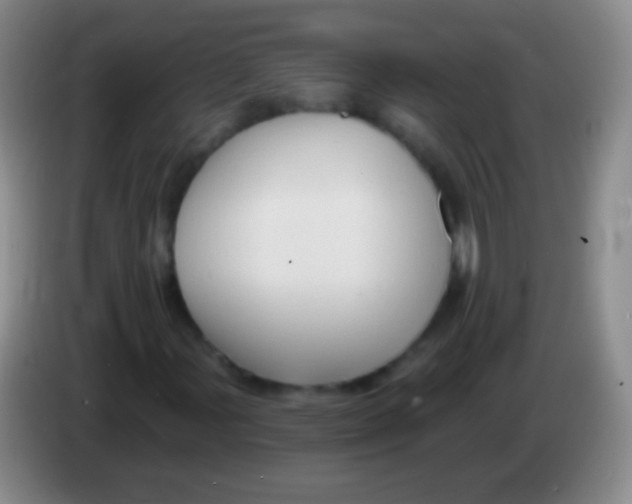 X0000083991107200703091839