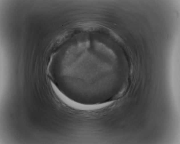 X0000083991108200703091839