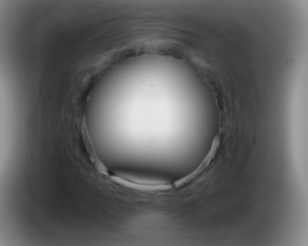 X0000083991109200703091839