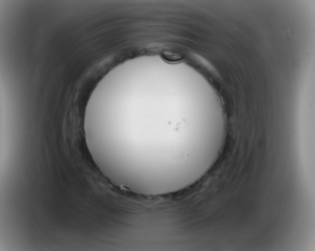 X0000083991111200703091839