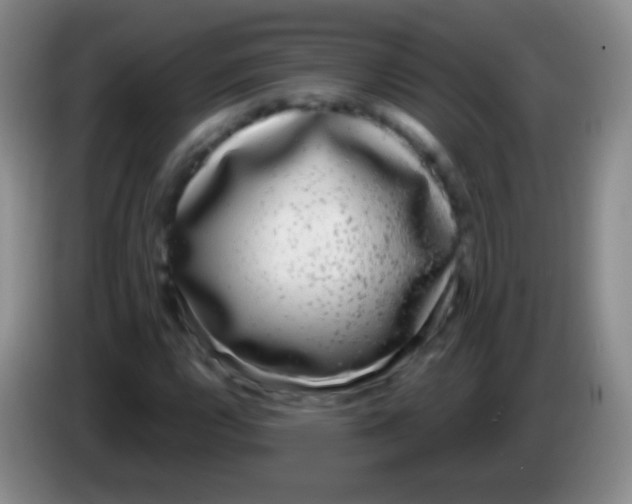 X0000083991112200703091839