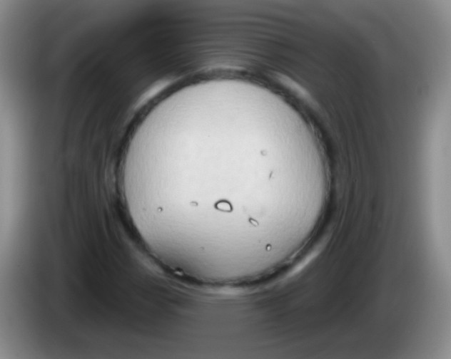 X0000083991113200703091839