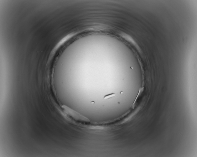 X0000083991114200703091839