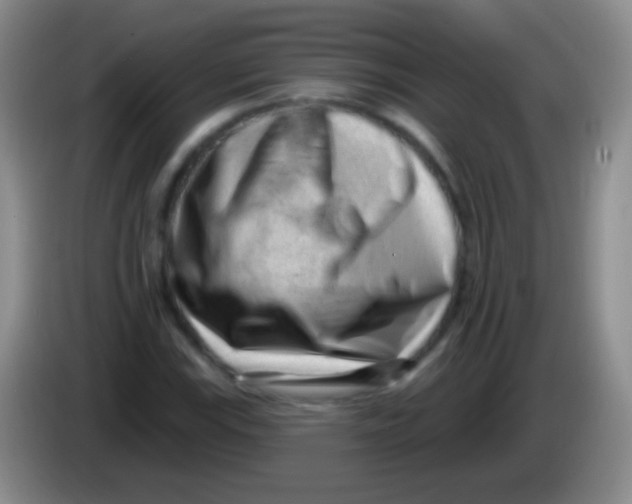 X0000083991115200703091839