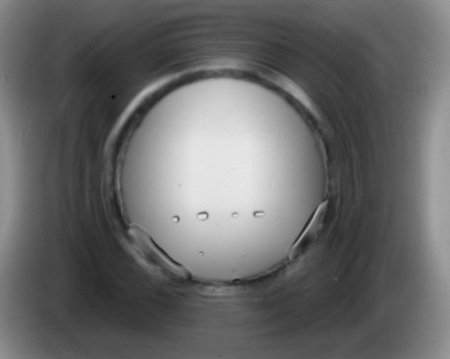 X0000083991116200703091839