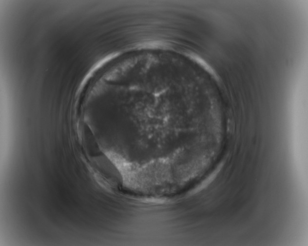 X0000083991117200703091839