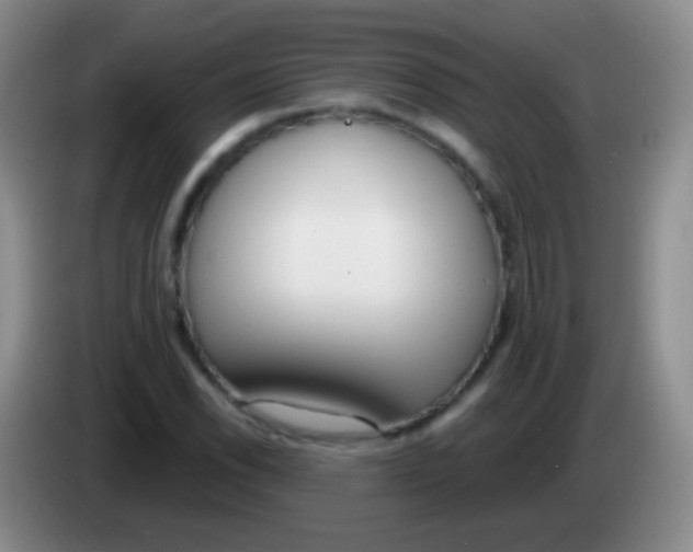 X0000083991118200703091839