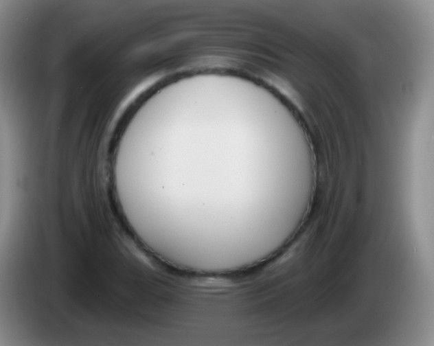 X0000083991119200703091839