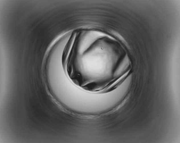 X0000083991122200703091839