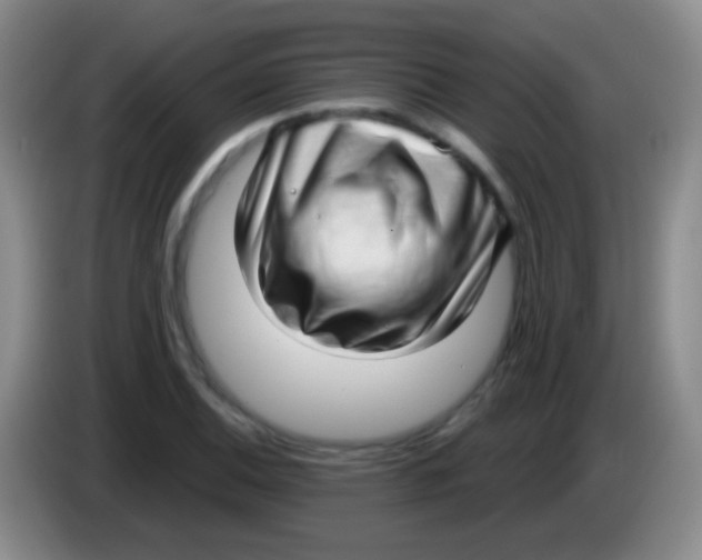 X0000083991124200703091839