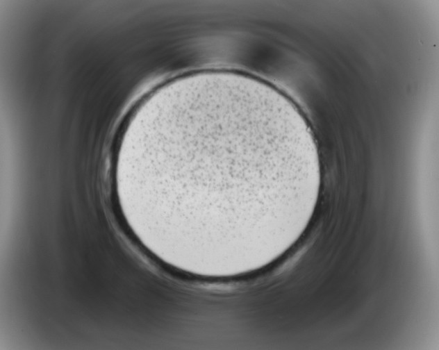 X0000083991126200703091839