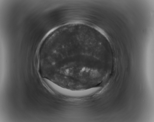 X0000083991127200703091839