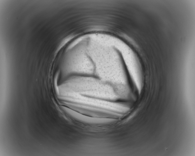 X0000083991129200703091839