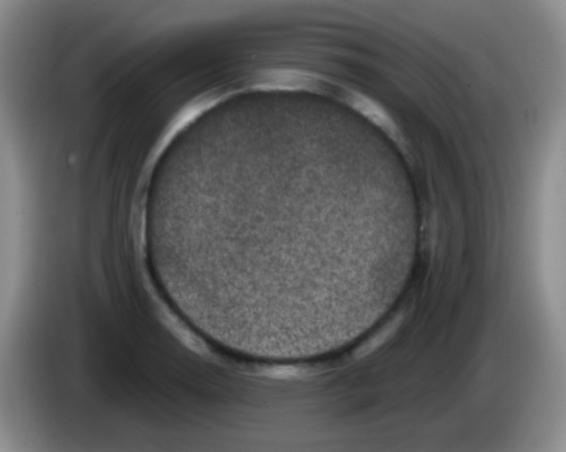 X0000083991130200703091839