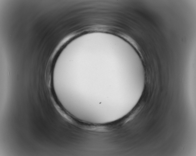 X0000083991131200703091839