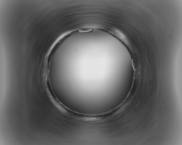 X0000083991132200703091839