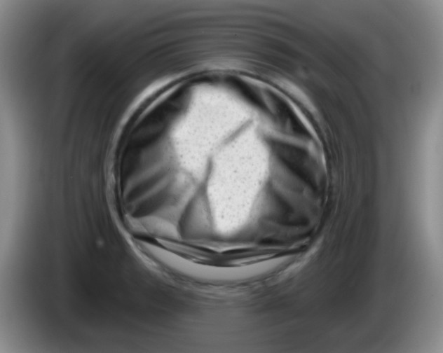 X0000083991133200703091839