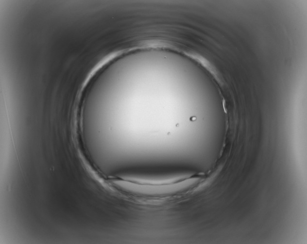 X0000083991134200703091839